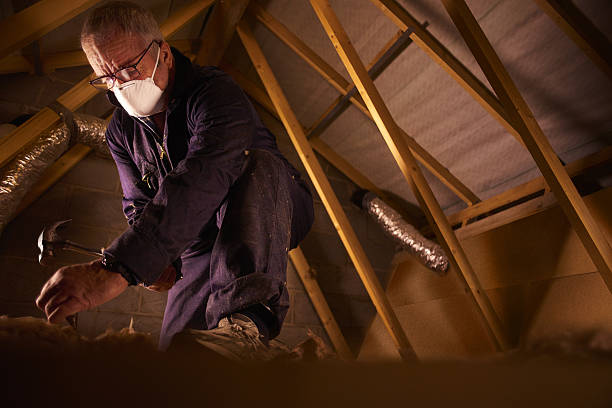 Types of Insulation We Offer in Maeser, UT