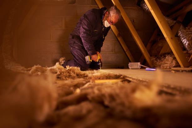 Best Cellulose Insulation in Maeser, UT